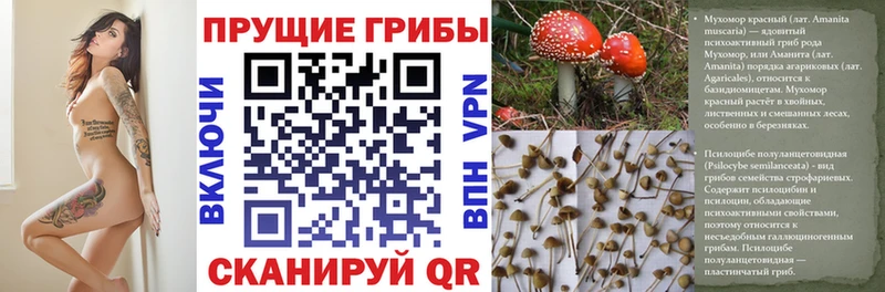 darknet какой сайт Невельск Галлюциногенные грибы Magic Shrooms
